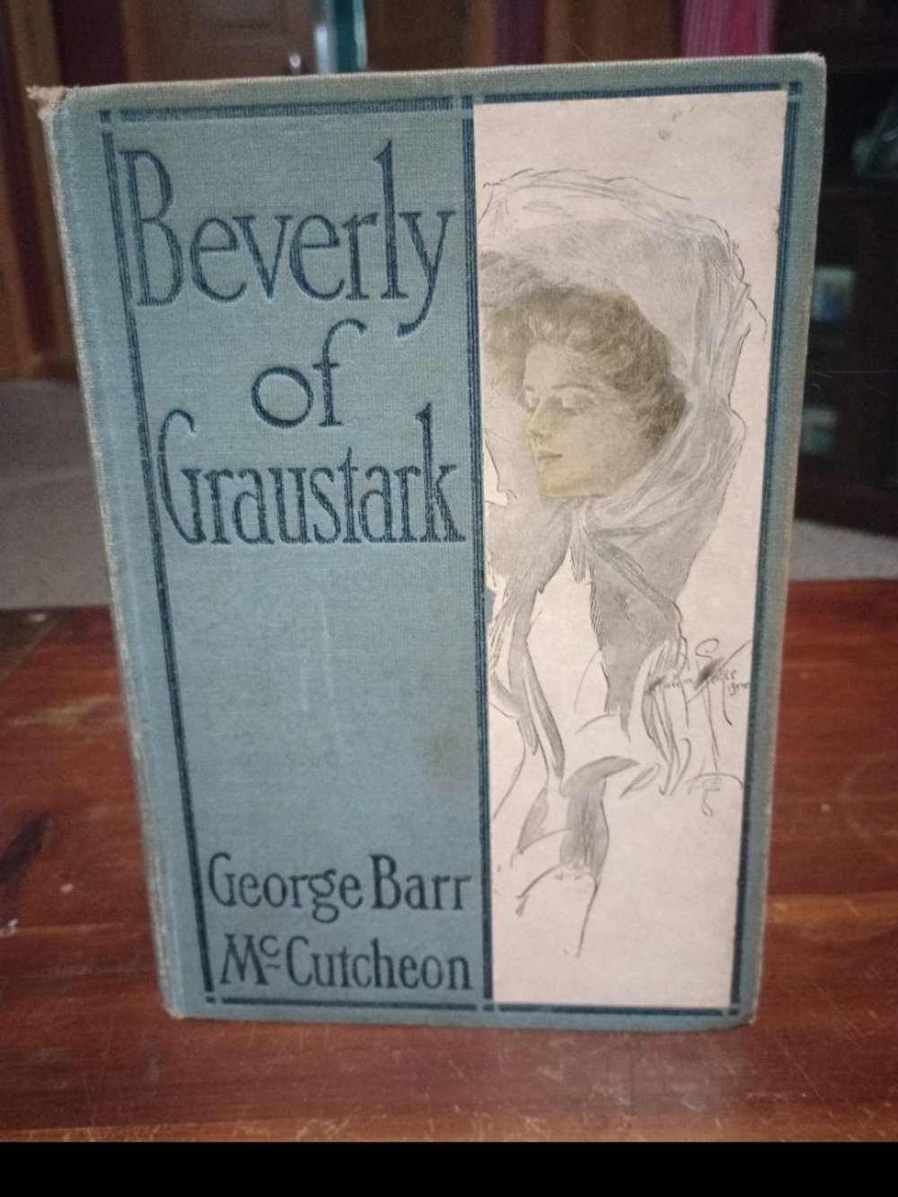 Antique 1904 1st Edition book.